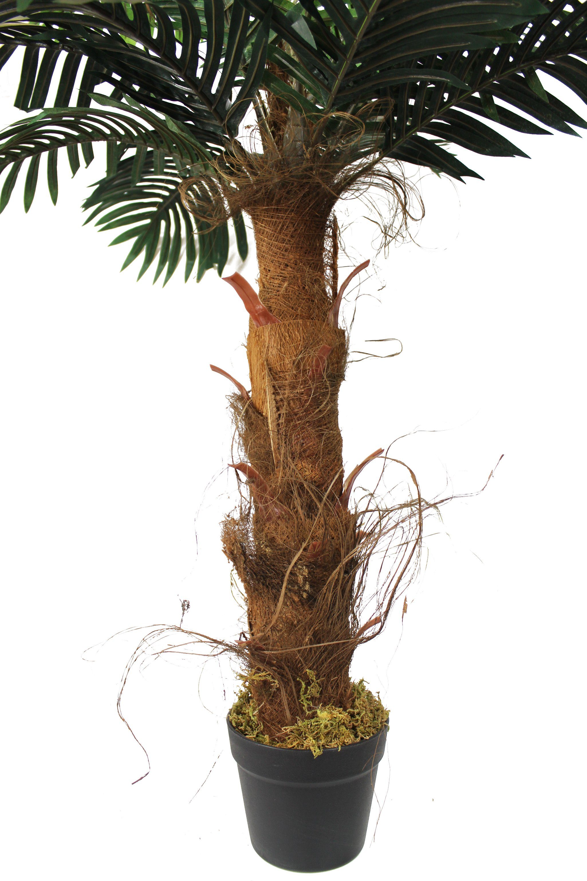 Kunstpalme Kunstpflanze Palme 100 cm wie günstig online kaufen