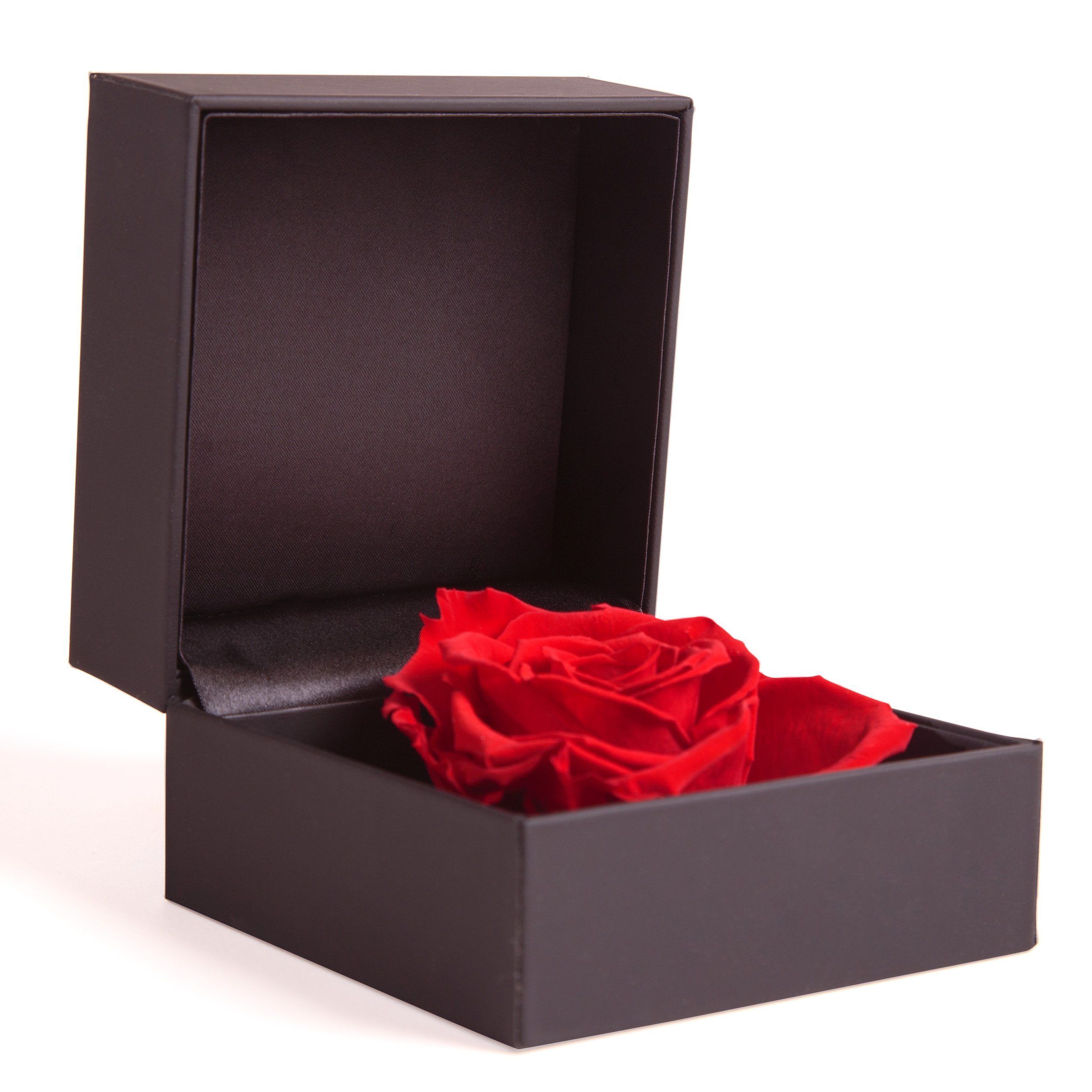 Rose, Infinity in Höhe Box ROSEMARIE Heidelberg, Rose SCHULZ Ringbox Langlebige konserviert Ringdose Rose Rosenbox 9 Groß Rot cm, Kunstblume