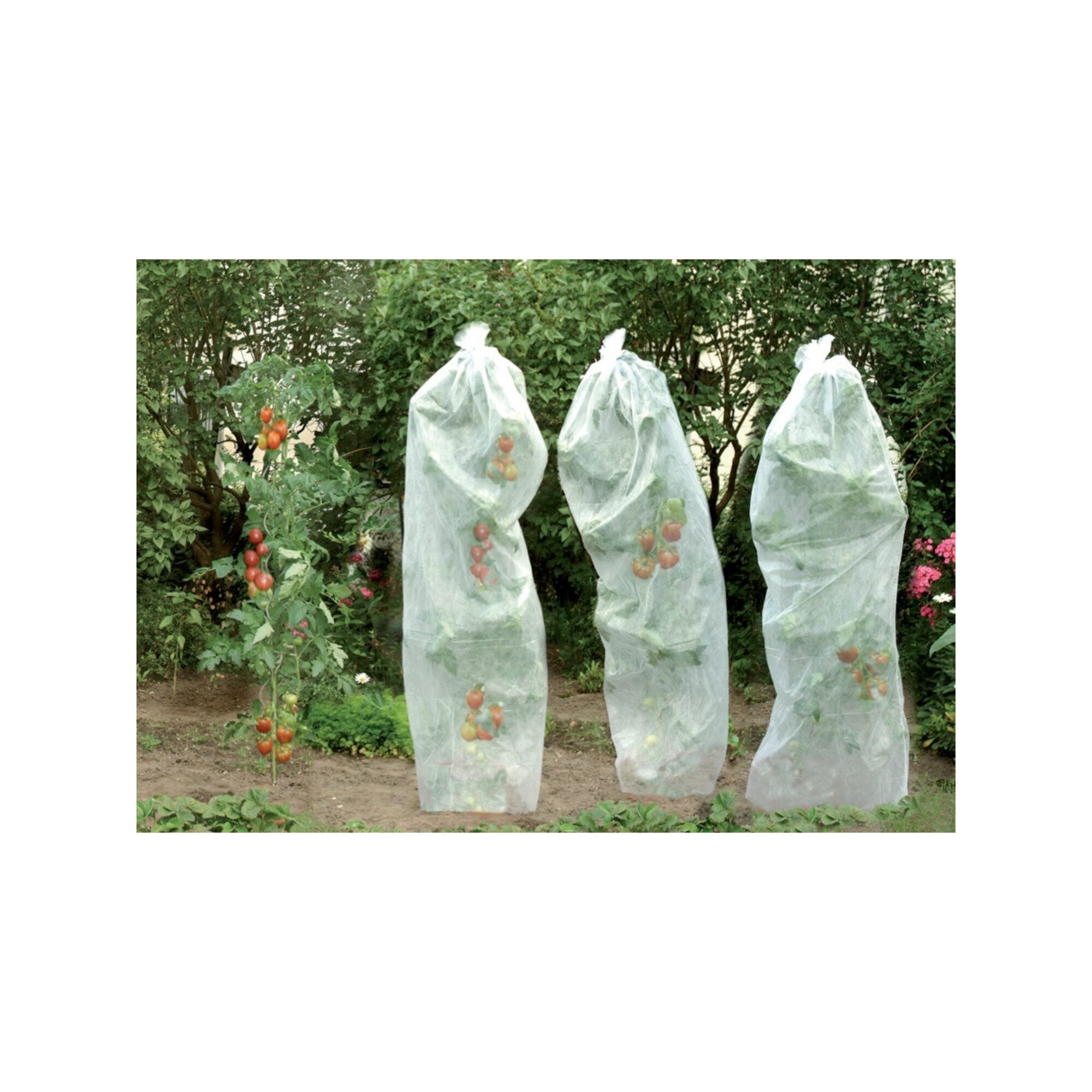 Floraworld Malervlies floraworld Tomatenreifevlies 0,8x5m 17g weiß