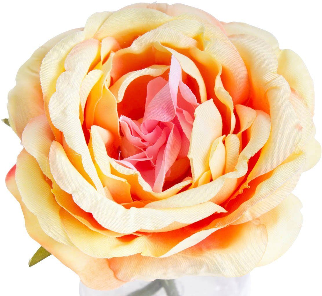 Kunstblume Rose im Höhe Botanic-Haus, Glas, 11 cm