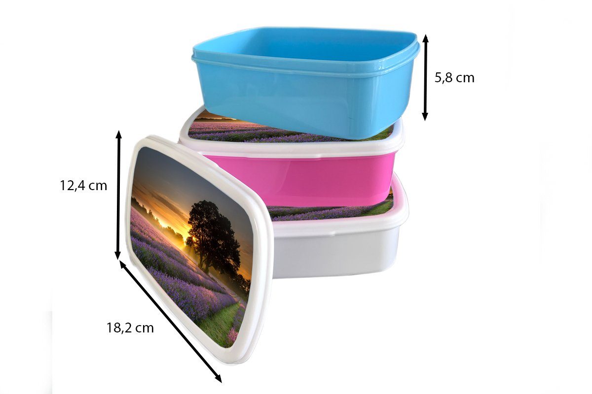 Snackbox, Mädchen, Maifeld-Lavendelfelder Kunststoff, Brotbox (2-tlg), rosa Sonnenaufgang, Kinder, für nebligem Brotdose bei Kunststoff Erwachsene, MuchoWow Lunchbox