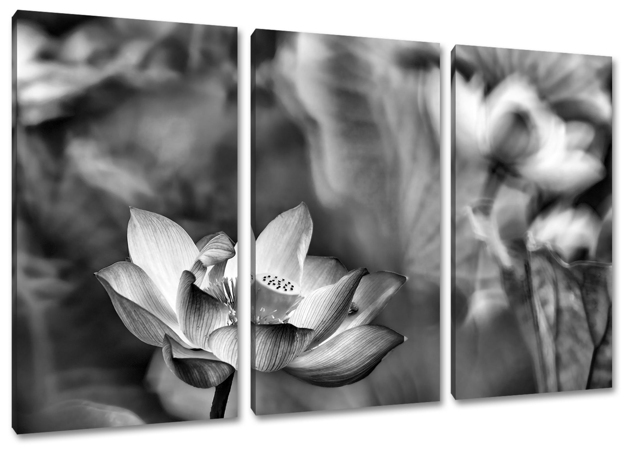 Pixxprint Leinwandbild inkl. Leinwandbild bespannt, fertig Wunderschöne Wunderschöne Lotusblüten, (1 Lotusblüten 3Teiler Zackenaufhänger (120x80cm) St)