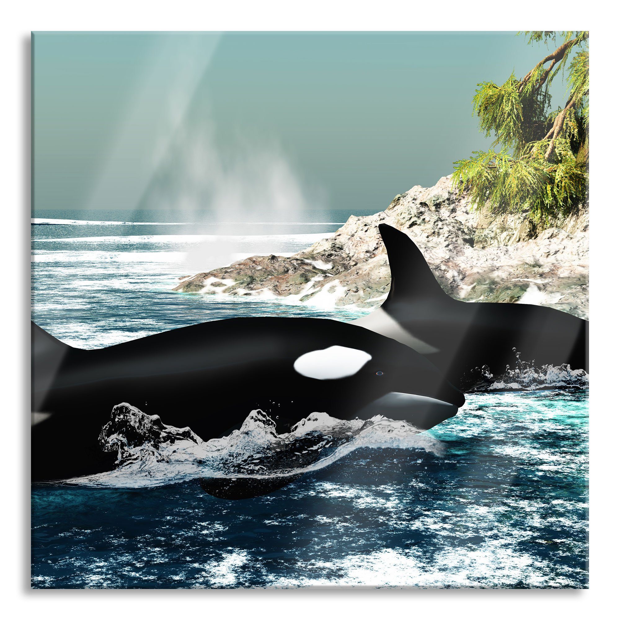 Pixxprint Glasbild Orcas vor Insel, Orcas vor Insel (1 St), Glasbild aus Echtglas, inkl. Aufhängungen und Abstandshalter