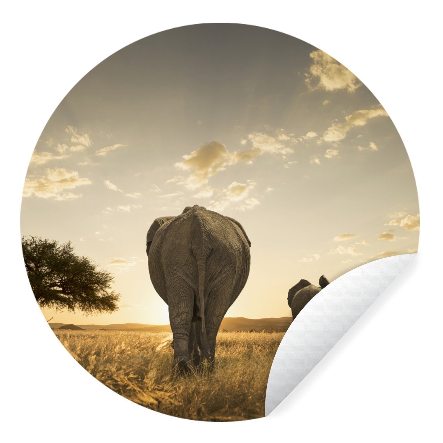 MuchoWow Wandsticker Elefant - Sonne - Safari (1 St), Tapetenkreis für Kinderzimmer, Tapetenaufkleber, Rund, Wohnzimmer