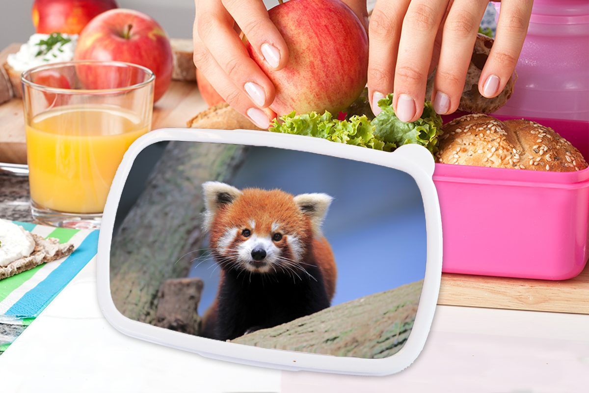 MuchoWow Lunchbox Roter für - Kunststoff - Erwachsene, rosa Kinder, Mädchen, (2-tlg), Baum, Panda Snackbox, Brotbox Kunststoff, Orange Brotdose