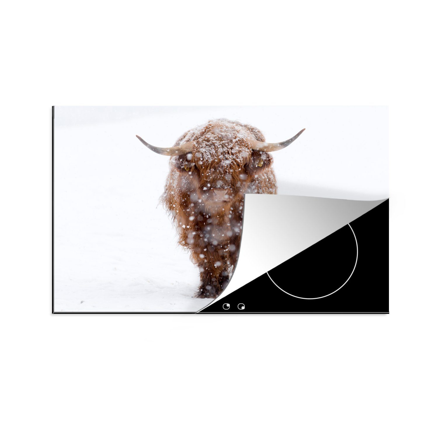 MuchoWow Herdblende-/Abdeckplatte Schottischer Highlander - Kuh - Schnee, Vinyl, (1 tlg), 81x52 cm, Induktionskochfeld Schutz für die küche, Ceranfeldabdeckung