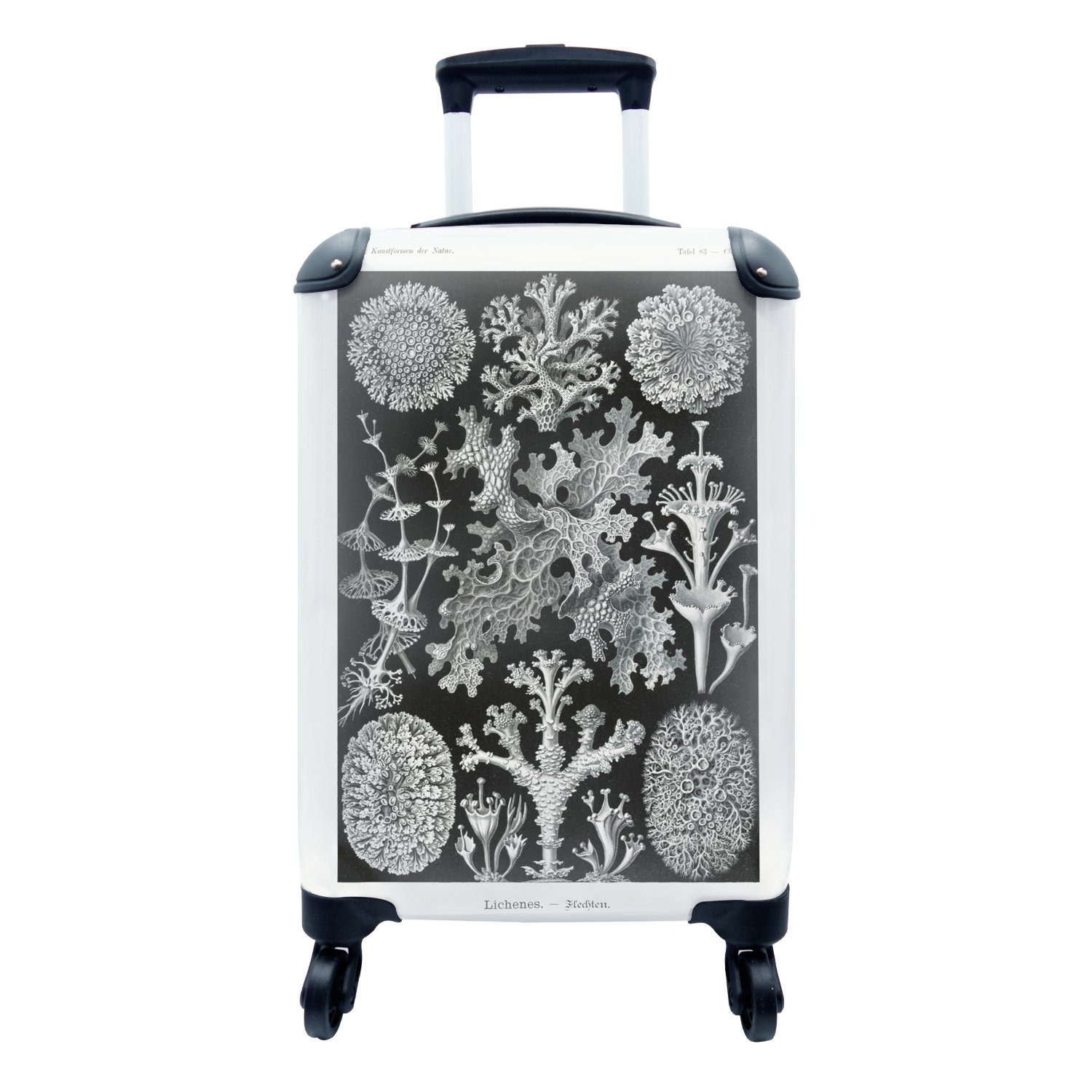 MuchoWow Handgepäckkoffer Kunst - Rollen, Haeckel - Ferien, Meister Handgepäck Alte - mit Reisekoffer Trolley, - Ernst 4 rollen, Natur, Koralle Reisetasche für