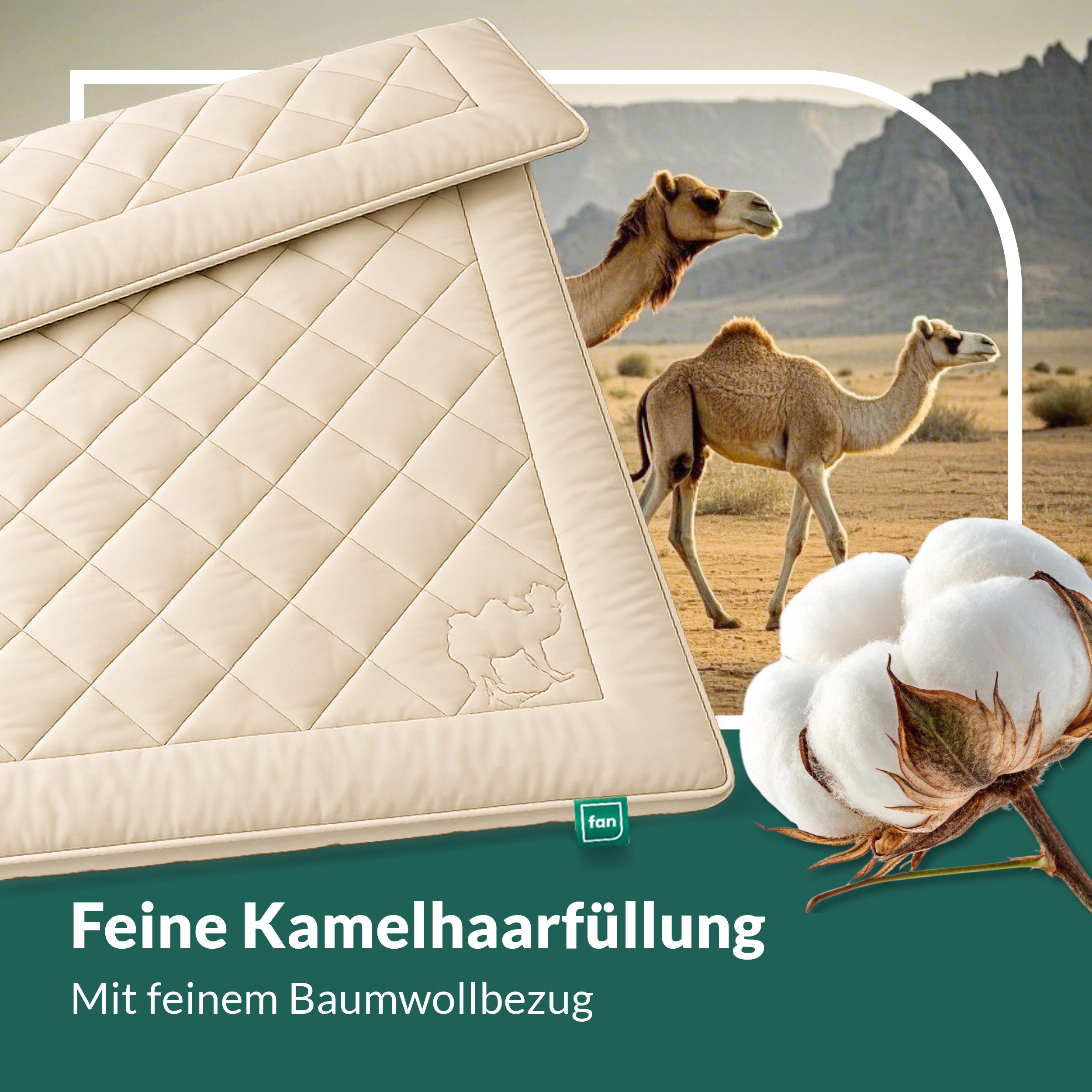 fan Naturhaarbettdecke Gobi, Bettdecken für Sommer und Winter, temperaturausgleichend, Füllung: Kamelhaar, Bezug: Baumwolle, Klimatisierende Kamelhaar-Füllung - – Bild 4 von 5