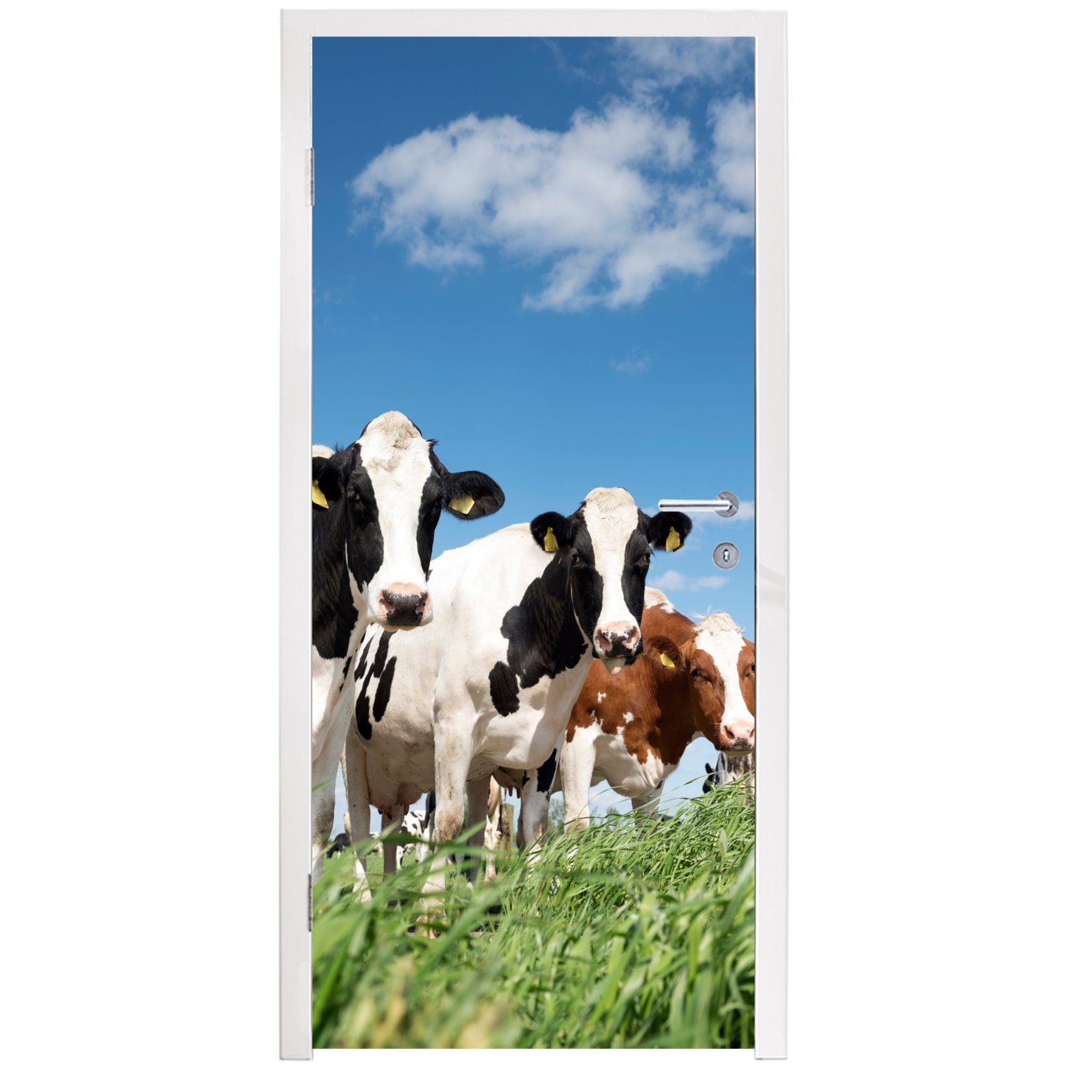 Natur St), Kühe - Tür, - bedruckt, - Türaufkleber, 75x205 Landleben für Tiere, MuchoWow cm Weide Fototapete - (1 Türtapete Matt,