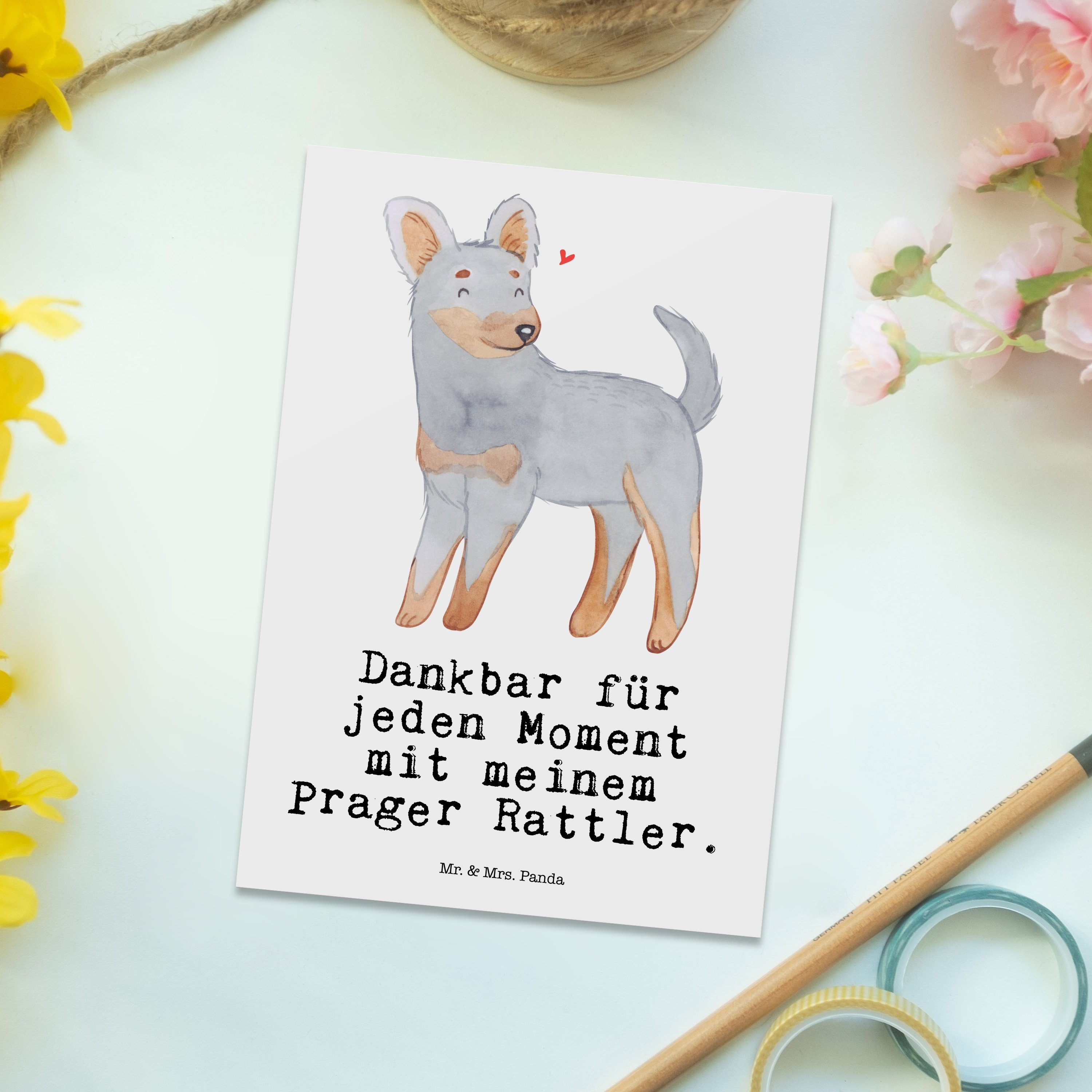 - Postkarte Panda Mr. Rattler Geschenk, Hund, Geschenkkarte, Weiß Moment Ansicht & - Mrs. Prager
