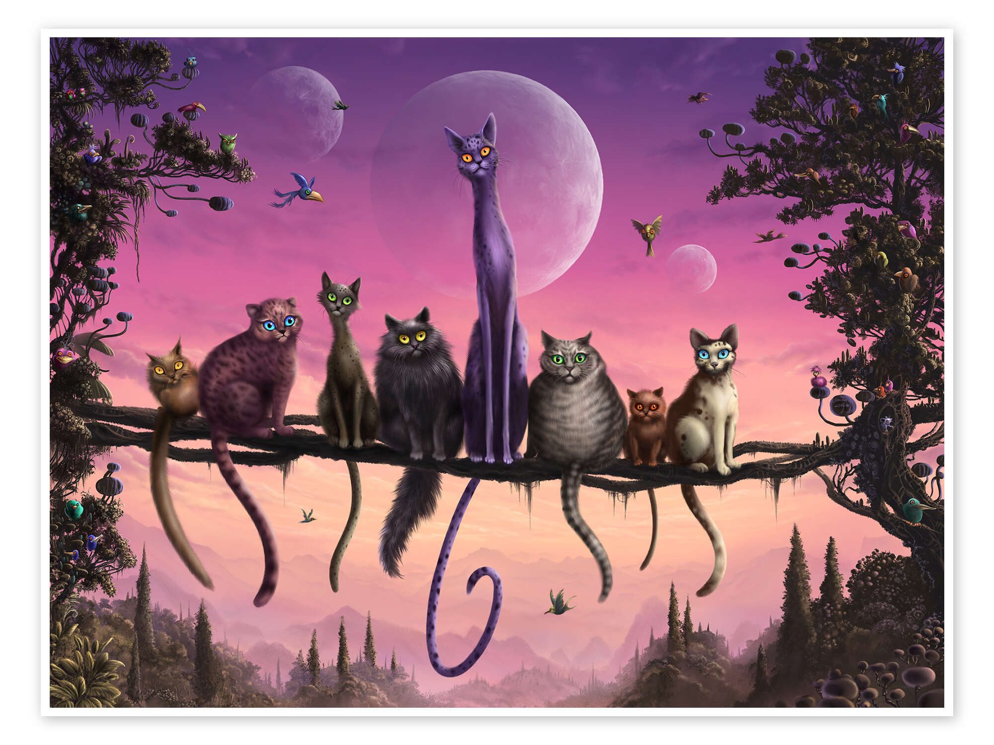 Posterlounge Wandbild Katzenhimmel, Susann H., erhältlich als Poster, Leinwandbild, Wandsticker oder Acrylglasbild
