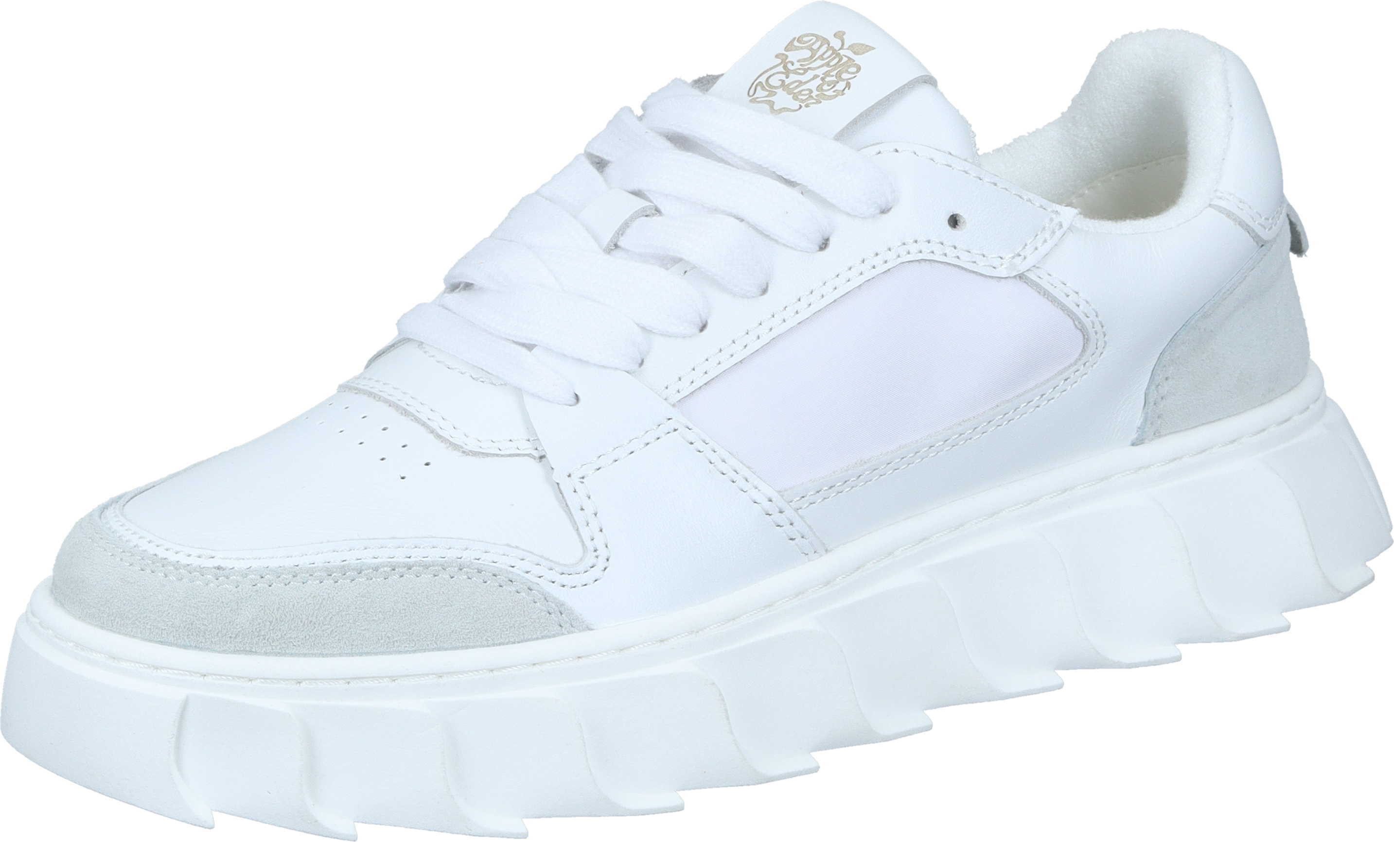 Sneaker Sneaker