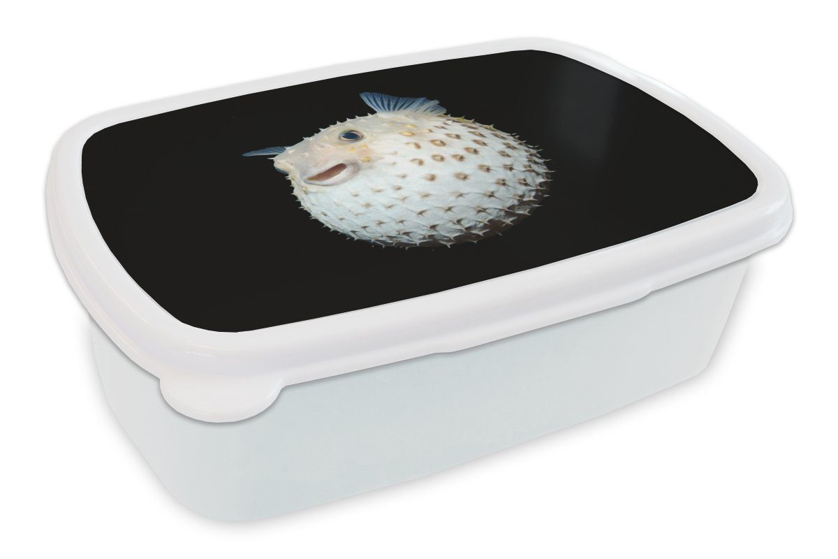 MuchoWow Lunchbox Fische - - und (2-tlg), Porträt, Mädchen Jungs Meerestiere Brotdose, Kunststoff, Brotbox für Kinder und weiß für Erwachsene
