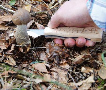 esschert design Gartenpflege-Set ESSCHERT DESIGN Pilzmesser mit Pinsel Edelstahl mit Klappmesser Holz Borsten