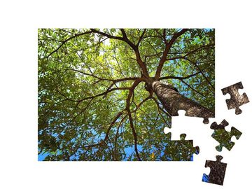 puzzleYOU Puzzle Foto bis zur Baumkrone von unten aufgenommen, 48 Puzzleteile, puzzleYOU-Kollektionen Bäume, Pflanzen, Wald & Bäume