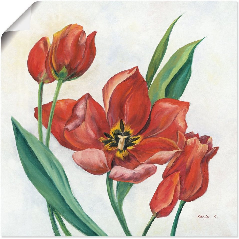 Größen Leinwandbild, I, versch. Tulpen Alubild, St), als in Blumenbilder Artland Poster oder Wandaufkleber Wandbild (1