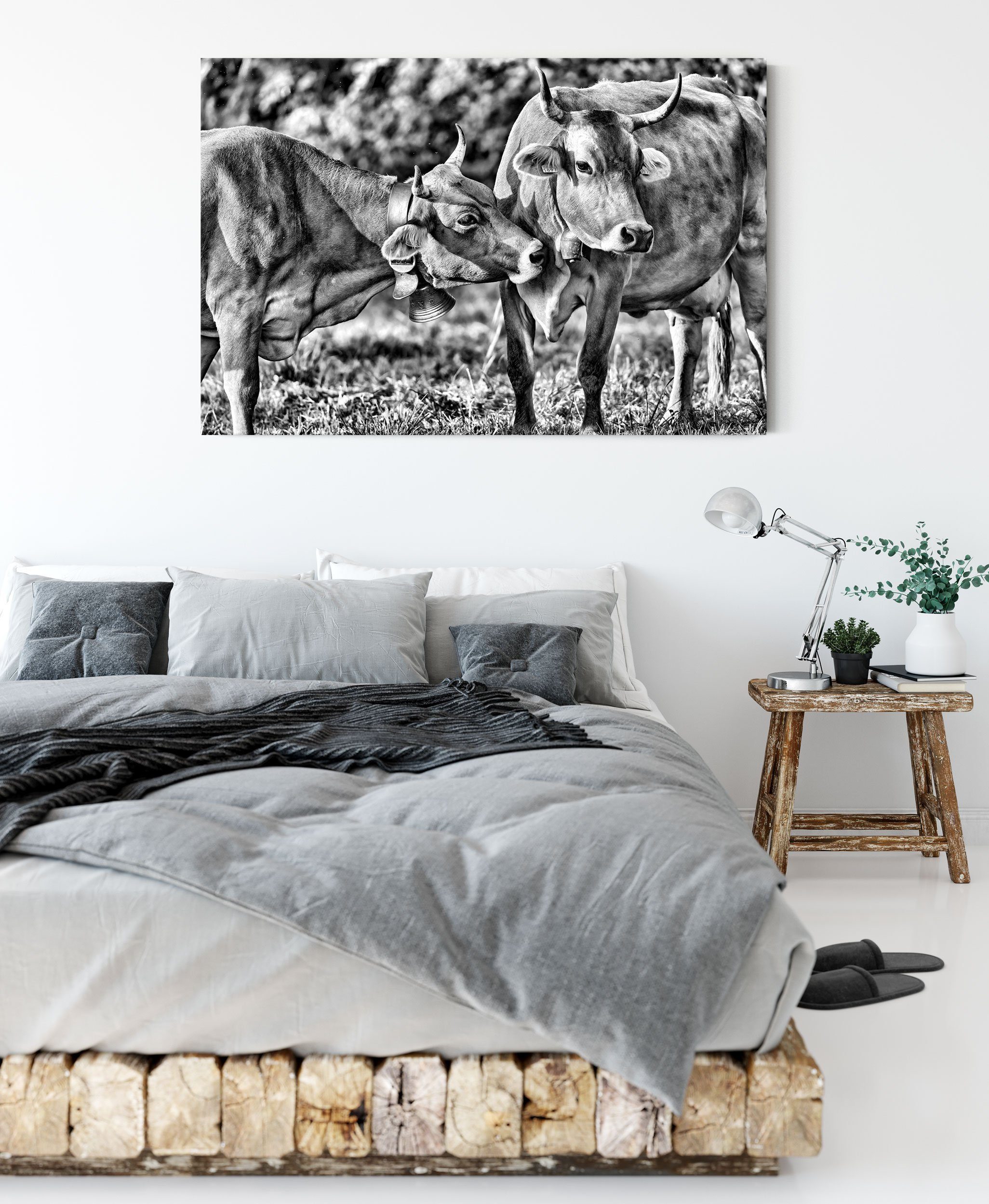 Pixxprint Leinwandbild Kuhbullen auf Leinwandbild auf Weide, bespannt, Kuhbullen Weide Zackenaufhänger St), (1 fertig inkl