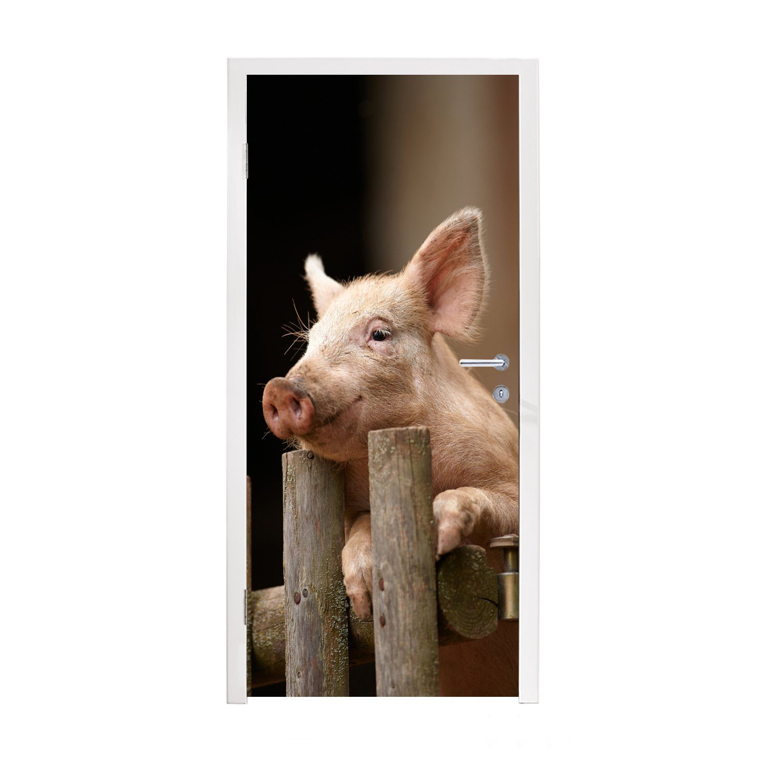 MuchoWow Türtapete Schwein - Tier - Zaun, Matt, bedruckt, (1 St), Fototapete für Tür, Türaufkleber, 75x205 cm