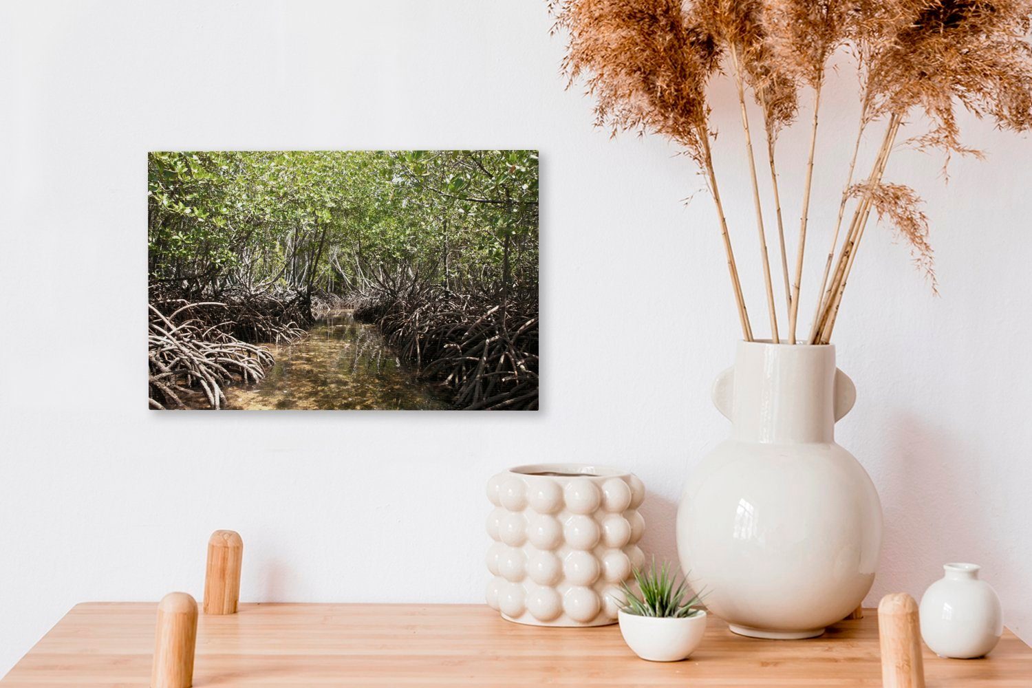 OneMillionCanvasses® Leinwandbild Baumwurzeln über dem Mangroves National (1 Leinwandbilder, Baches Wasser Wanddeko, Park, im Aufhängefertig, eines St), cm 30x20 Wandbild