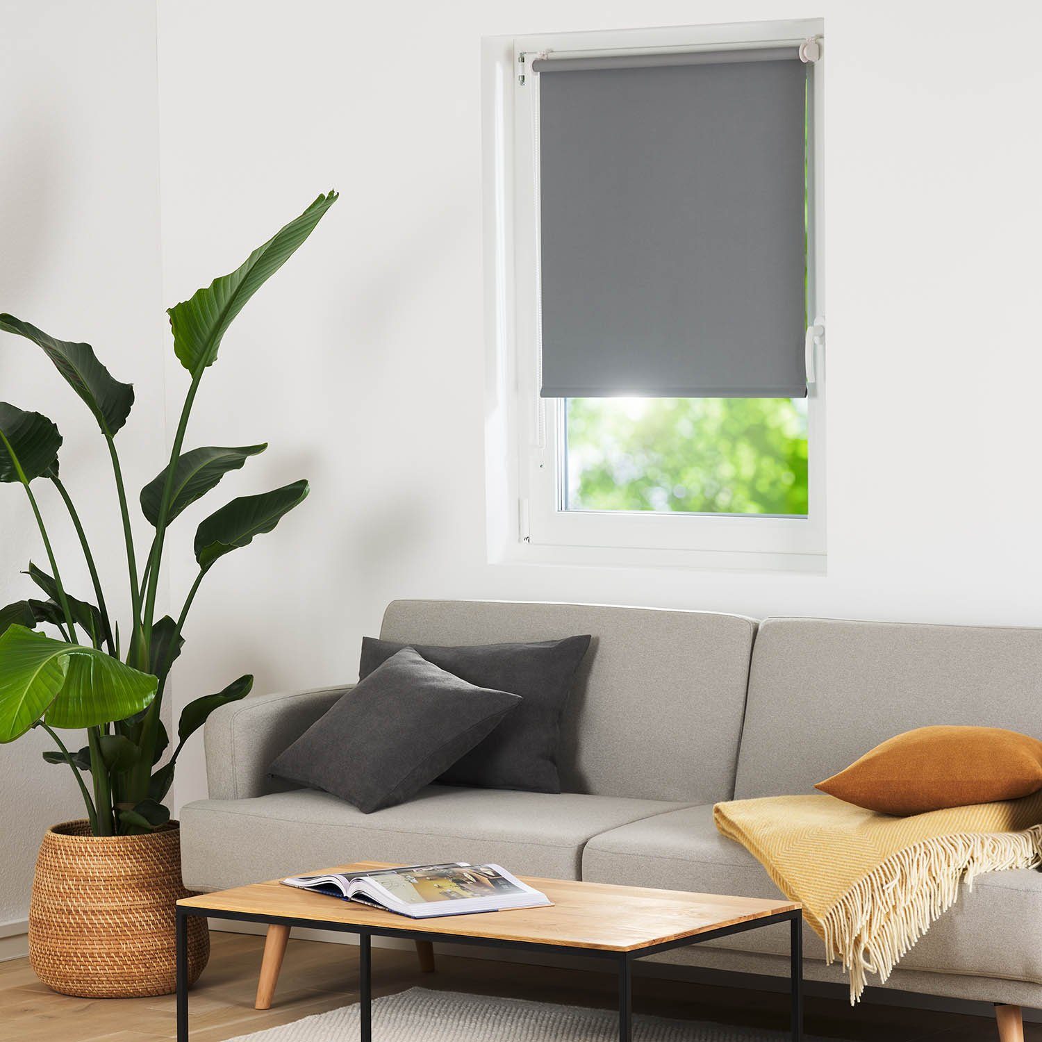 Doppelrollo Verdunklungsrollo - Klemmfix ohne Bohren, Blumtal, Lichtschutz, Freihängend, Klemmfix, Rollo für Fenster und Tür – Bild 4 von 5