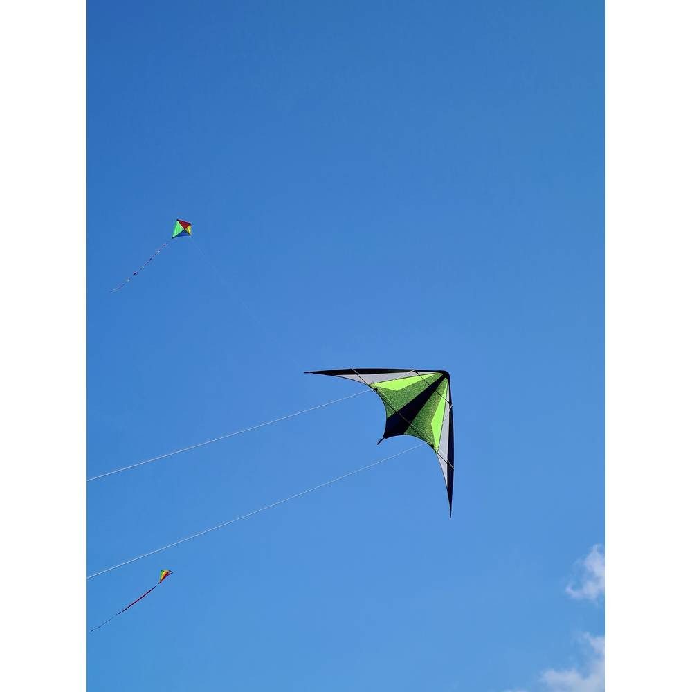 Günther Flug-Drache Zweileiner Sport-Lenkdrachen Neon Loop 160 Spannweite (Details) 1600