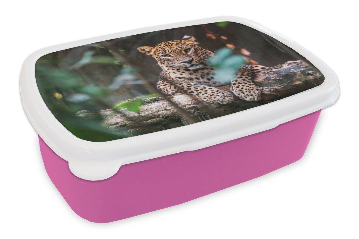 Kunststoff, Kinder, Brotdose Mädchen, Brotbox Snackbox, für Tiere, - Kunststoff Lunchbox Dschungel MuchoWow rosa (2-tlg), - Panther Erwachsene,
