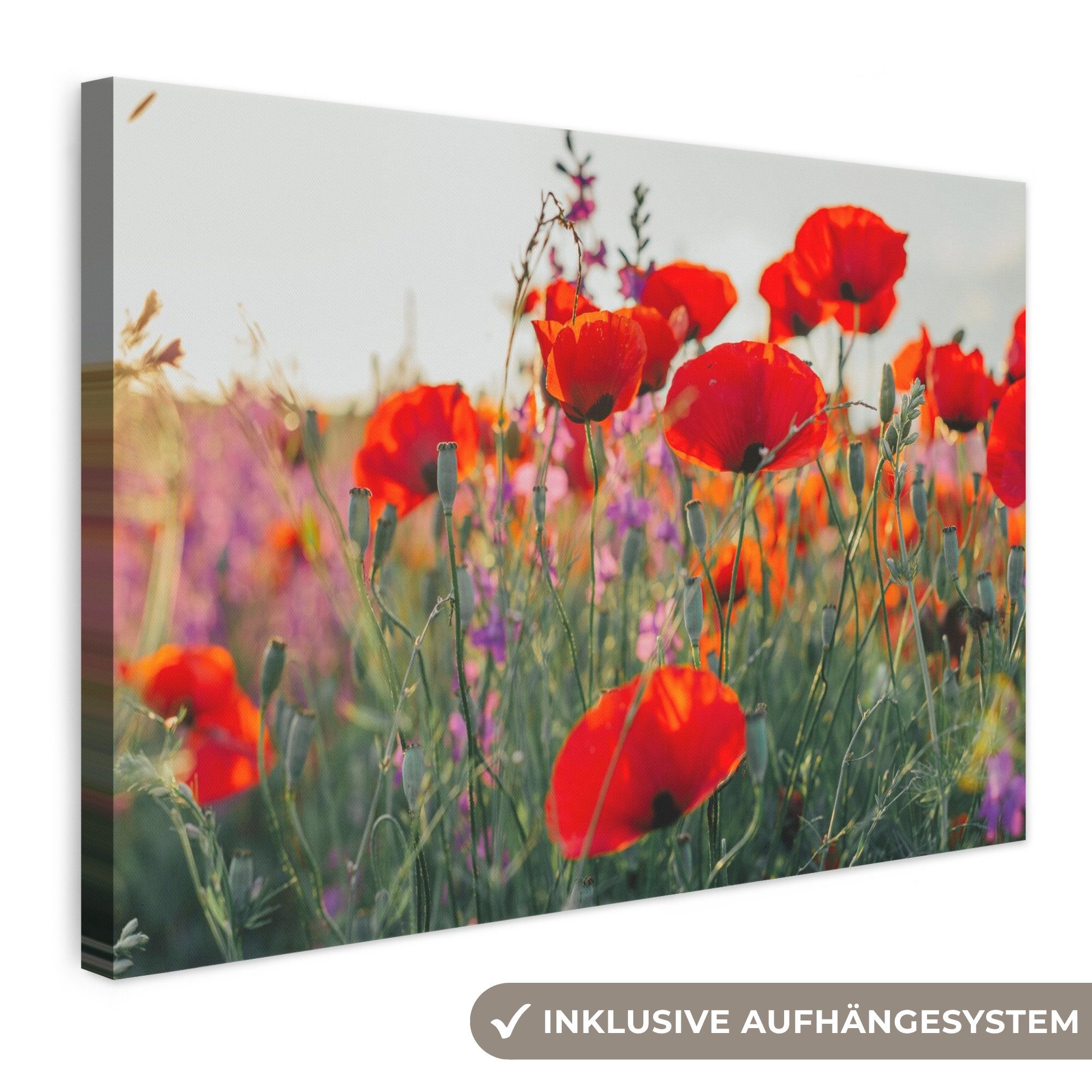 OneMillionCanvasses® Leinwandbild Mohn - Blumen - Rot - Lila - Wiese, Fotodruck (1 St), Leinwand Bilder Klein, Wand Dekoration Aesthetic 30x20 cm