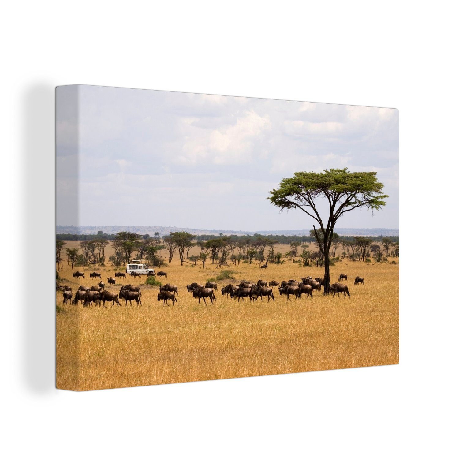 OneMillionCanvasses® Leinwandbild Die trockenen im, 30x20 Savanne (1 Aufhängefertig, St), Leinwandbilder, Ebenen der Wandbild tansanischen cm Wanddeko