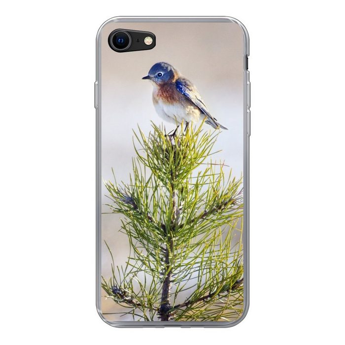 MuchoWow Handyhülle Vogel auf einem Ast eines Baumes Handyhülle Apple iPhone SE (2020) Smartphone-Bumper Print Handy