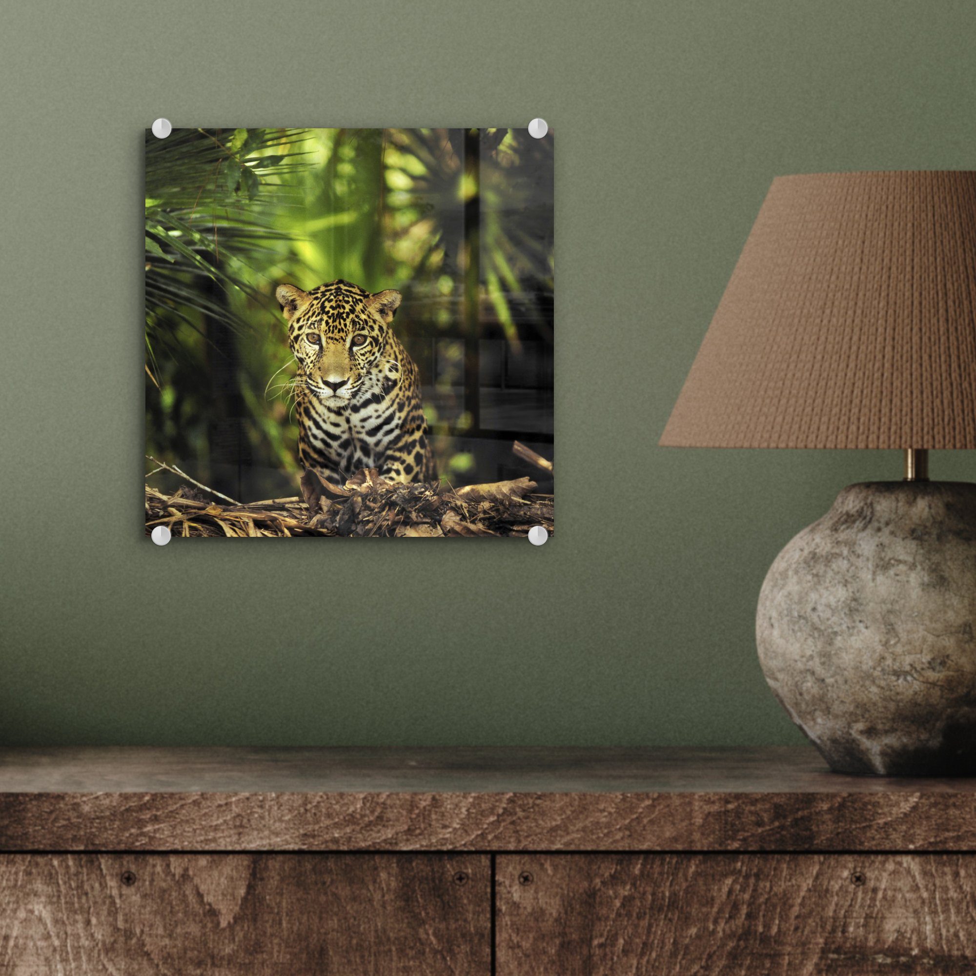 Foto (1 Jaguar MuchoWow Acrylglasbild St), Glas Junger Wandbild Dschungel, Bilder - - im auf Wanddekoration Glas Glasbilder auf -