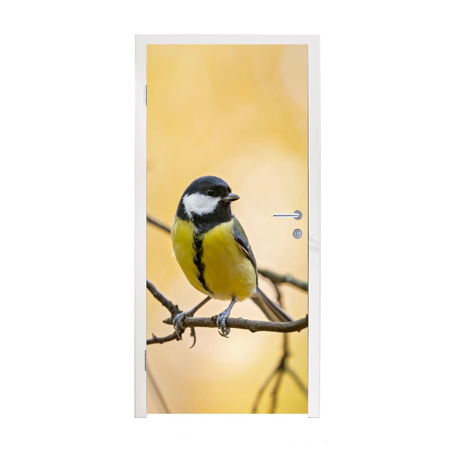 MuchoWow Türtapete Kohlmeise - Zweig - Vogel - Tiere, Matt, bedruckt, (1 St), Fototapete für Tür, Türaufkleber, 75x205 cm