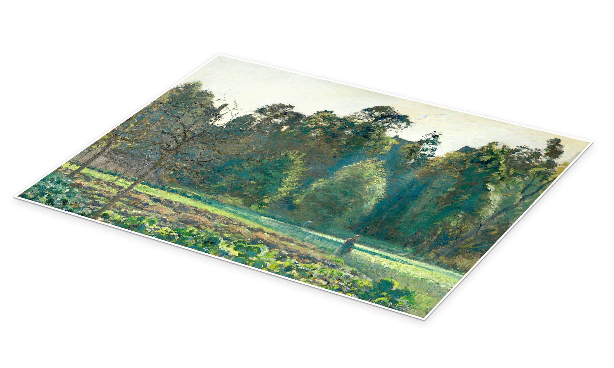 Posterlounge Wandbild Das Kohlfeld, Pontoise, Camille Pissarro, erhältlich als Poster, Leinwandbild, Wandsticker oder Acrylglasbild