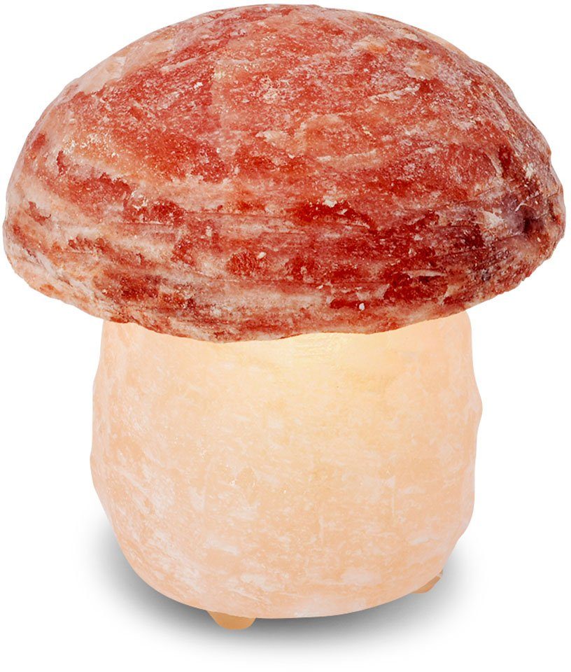 Salzkristall-Tischlampe HIMALAYA Salzkristall SALT wechselbar, Stein Leuchtmittel H: DREAMS Warmweiß, Handgefertigt ein - aus Unikat, cm ca.16 Pilz, jeder