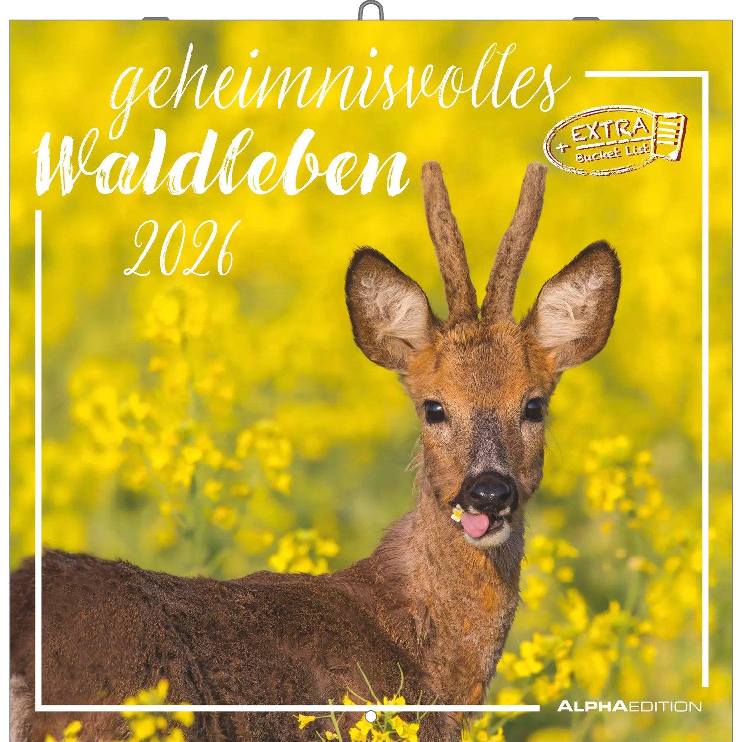 NEUMANN Wandkalender Geheimnisvolles Waldleben 2026 - Broschürenkalender 30x30 cm (30x60...