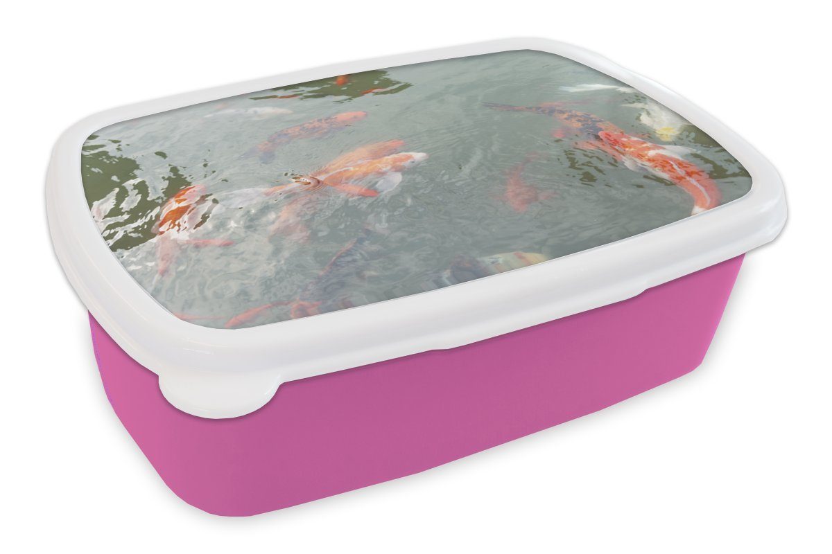 MuchoWow Lunchbox Eine Gruppe von Koi-Karpfen in einem Teich, Kunststoff, (2-tlg), Brotbox für Erwachsene, Brotdose Kinder, Snackbox, Mädchen, Kunststoff rosa