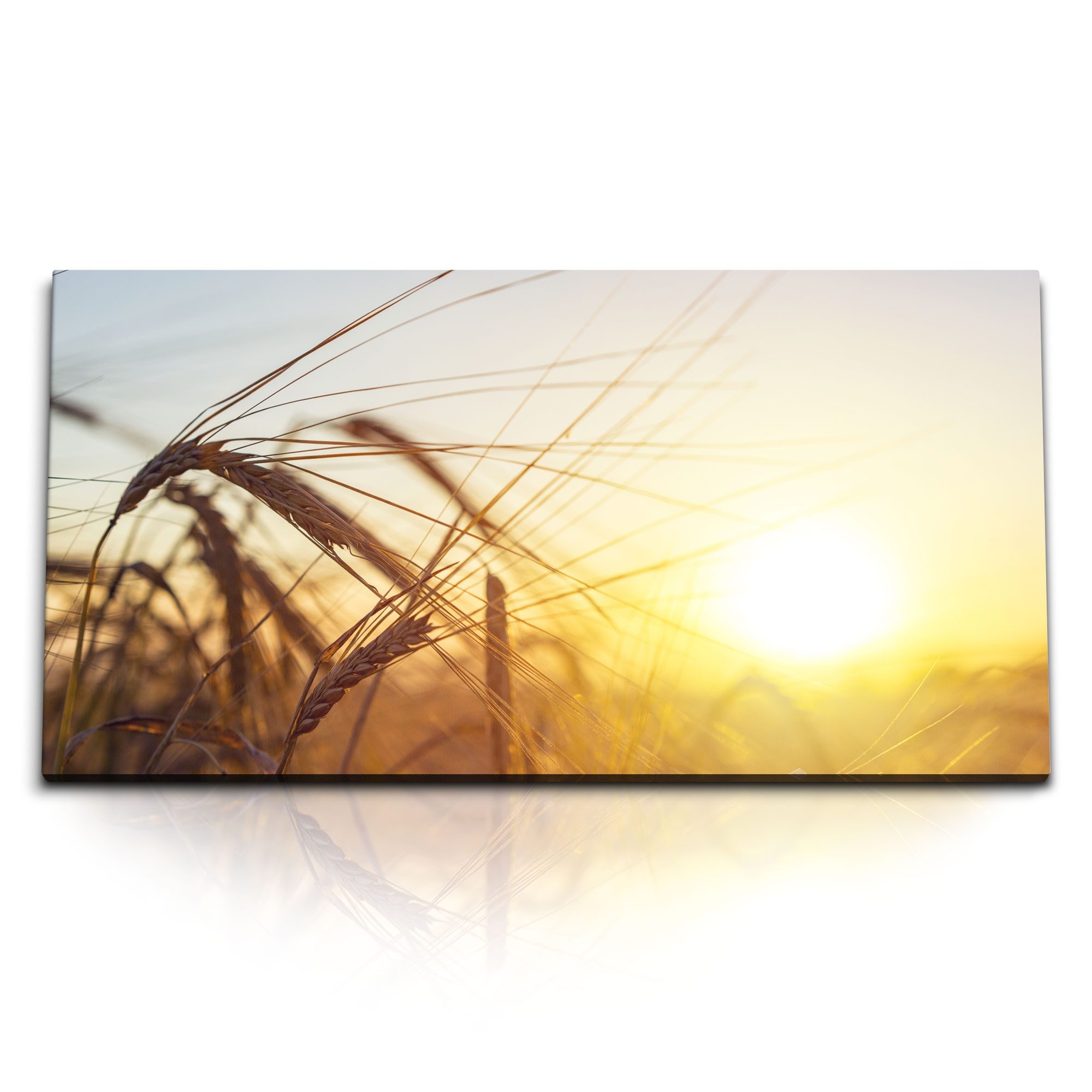 Leinwandbild Kunstdruck Bilder 120x60cm Weizen Weizenfelder Sommer Sonnenschein Son