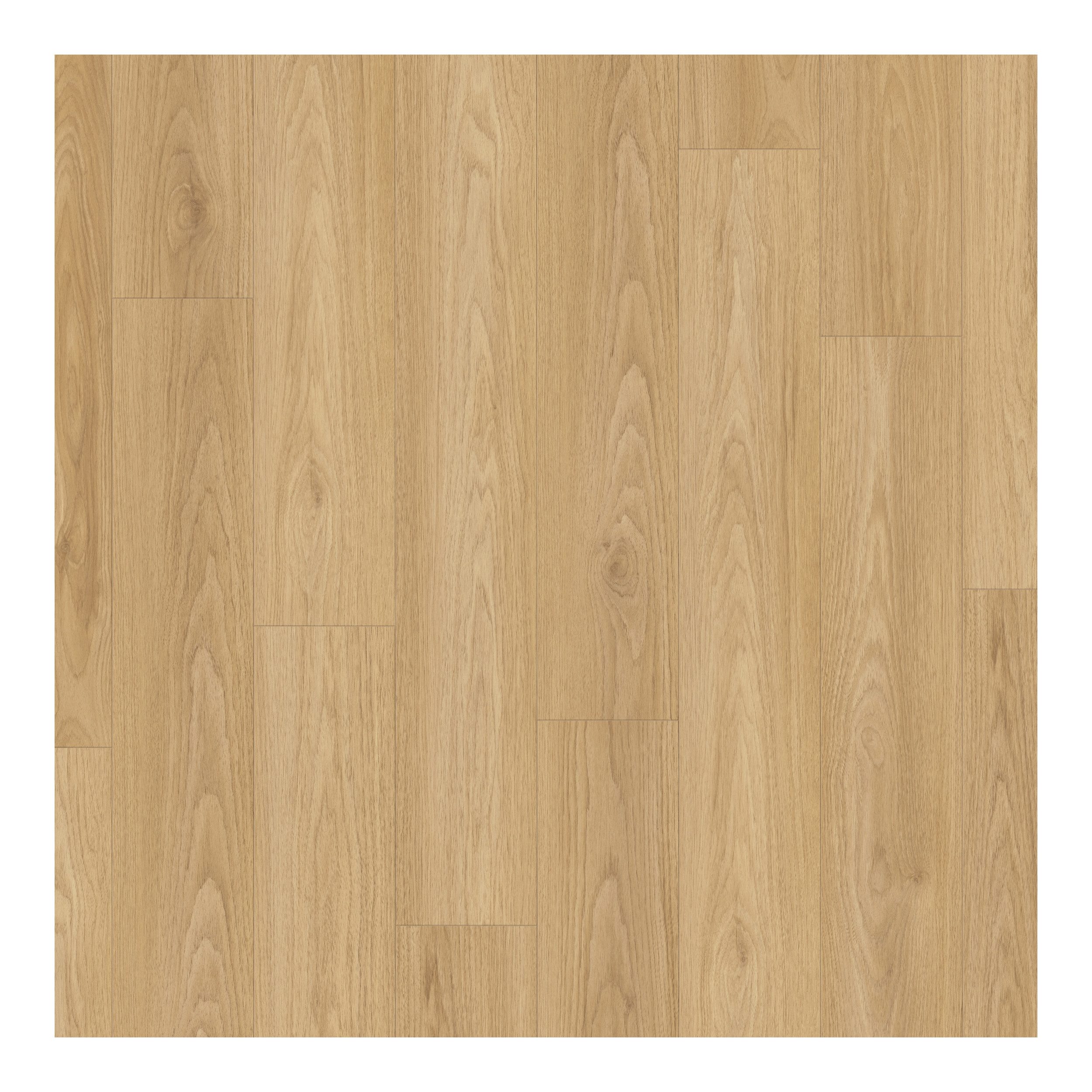 PARADOR Laminat Basic 400 Hickory, 10 St., Klicklaminat 2,493m² (10 Dielen) pro Karton, Hickory