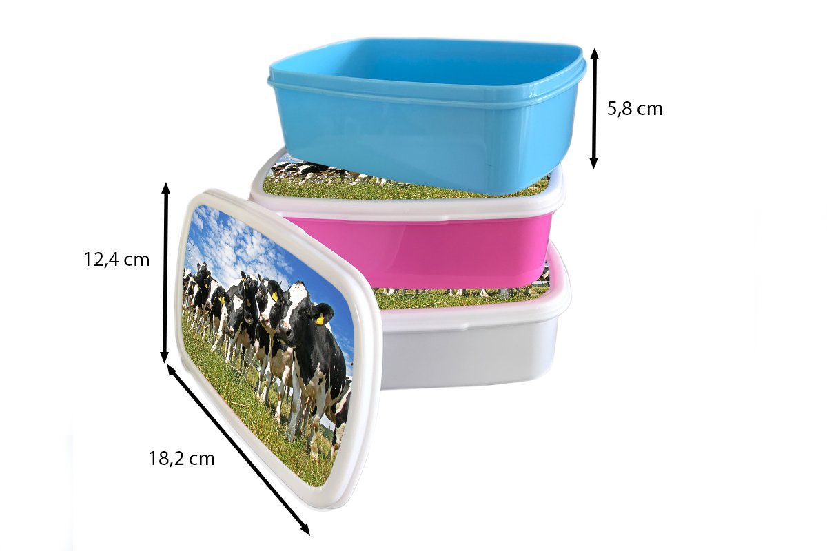 Brotbox (2-tlg), Kühe weiß Mädchen Lunchbox Wiese und Erwachsene, - Brotdose, für - MuchoWow - Tiere, Jungs Kunststoff, Gras für Kinder und