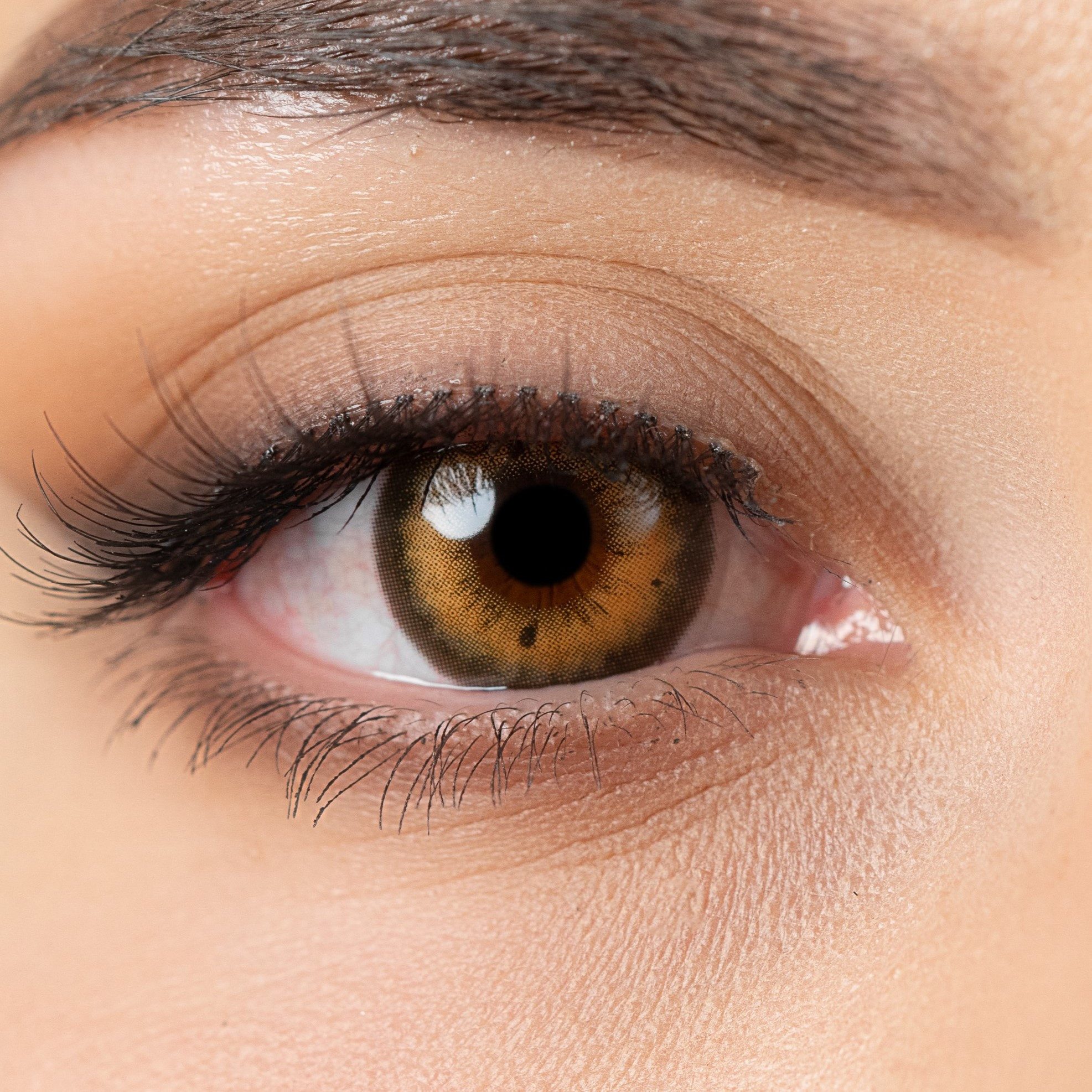 Jahreslinsen Farbige Kontaktlinsen hellbraun, 6-Monatslinsen Haselnuss Galaxy Hazel