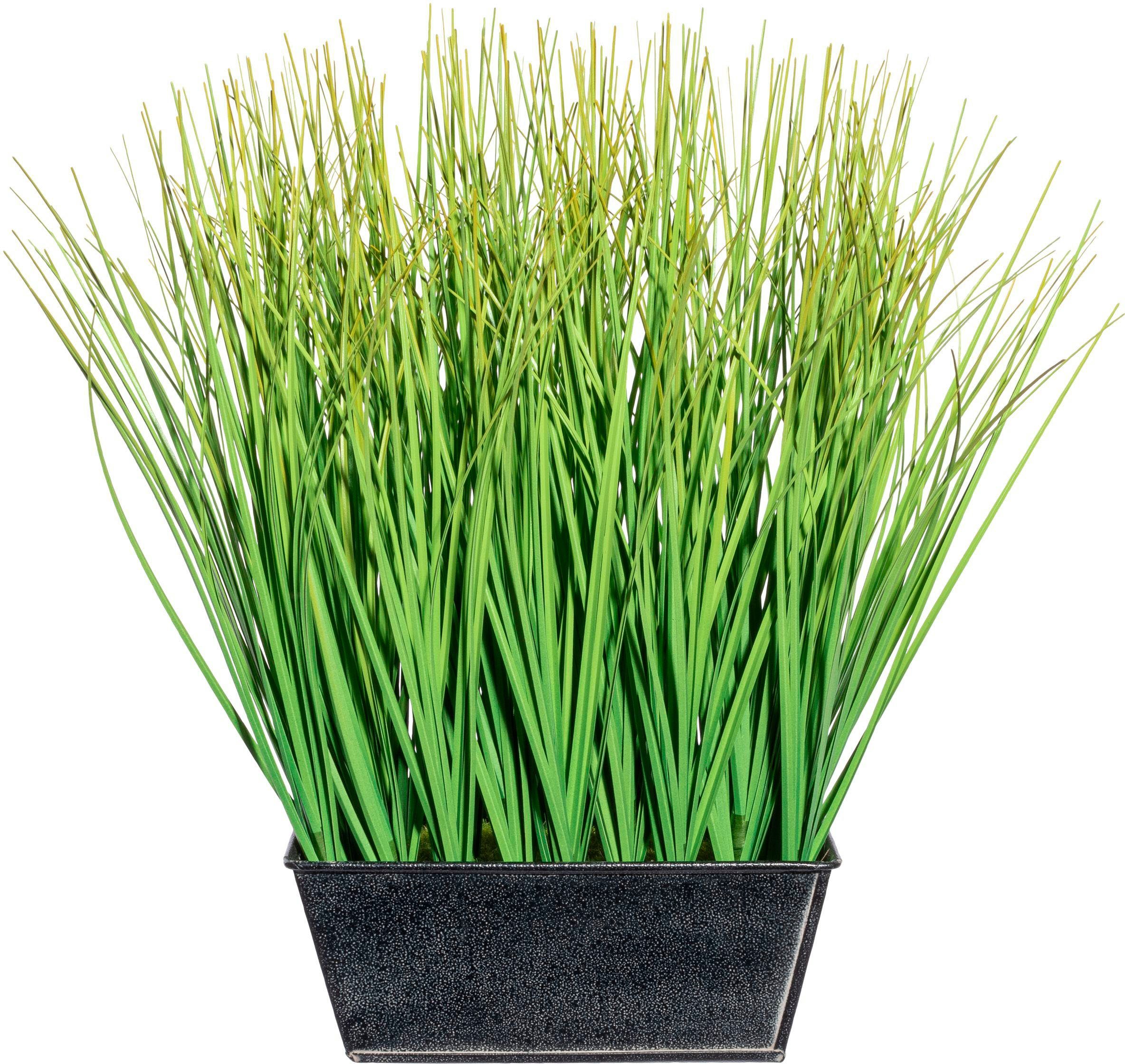 Kunstgras Gras Gras, Creativ green, Höhe günstig online kaufen