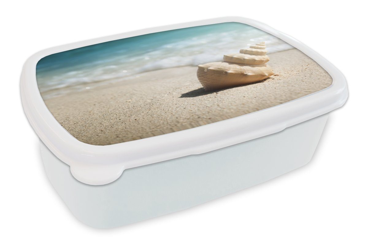 MuchoWow Lunchbox Muschel - Strand - Meer, Kunststoff, (2-tlg), Brotbox für Kinder und Erwachsene, Brotdose, für Jungs und Mädchen weiß