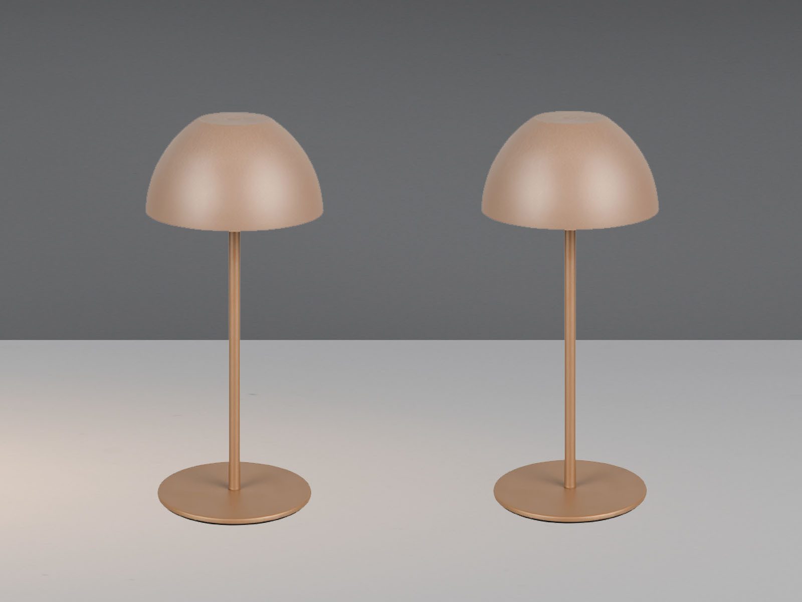 Reality Leuchten LED Außen-Tischleuchte, dimmbar, LED fest integriert, Warmweiß, 2er SET Outdoor USB Pilz-Lampen Coffee, kabellos mit Akku, 20cm klein