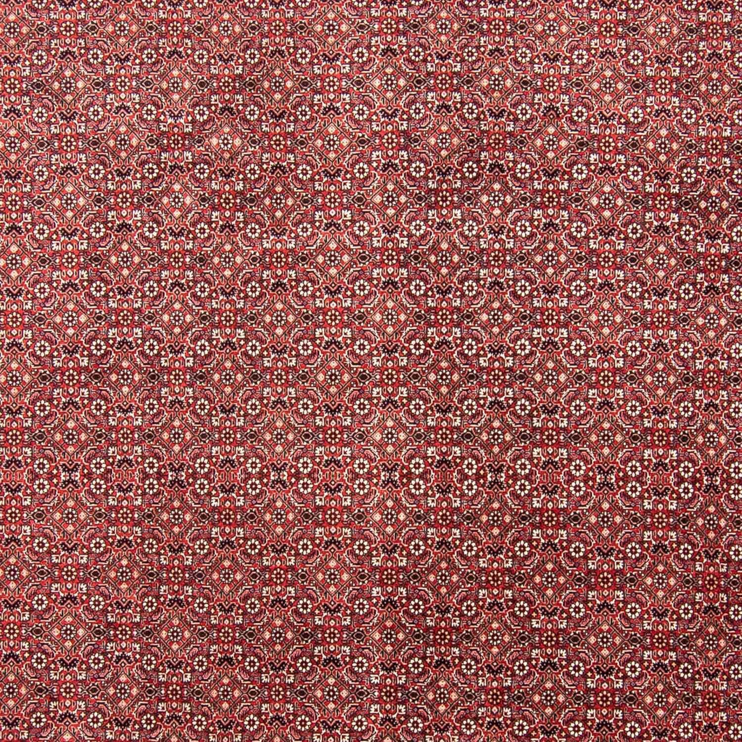 Orientteppich Perser - Zertifikat mit Handgeknüpft, - x 245 - Einzelstück Wohnzimmer, rechteckig, Bidjar cm mm, rot, 350 15 morgenland, Höhe
