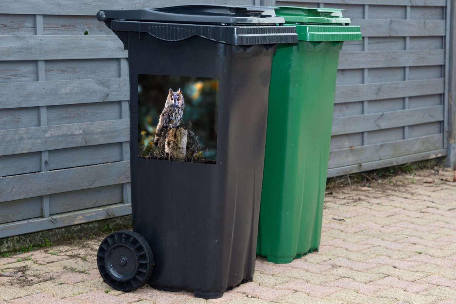 - Mülltonne, Vogel Eule MuchoWow Abfalbehälter (1 Sticker, Wandsticker - Herbst Mülleimer-aufkleber, St), - Container, Äste