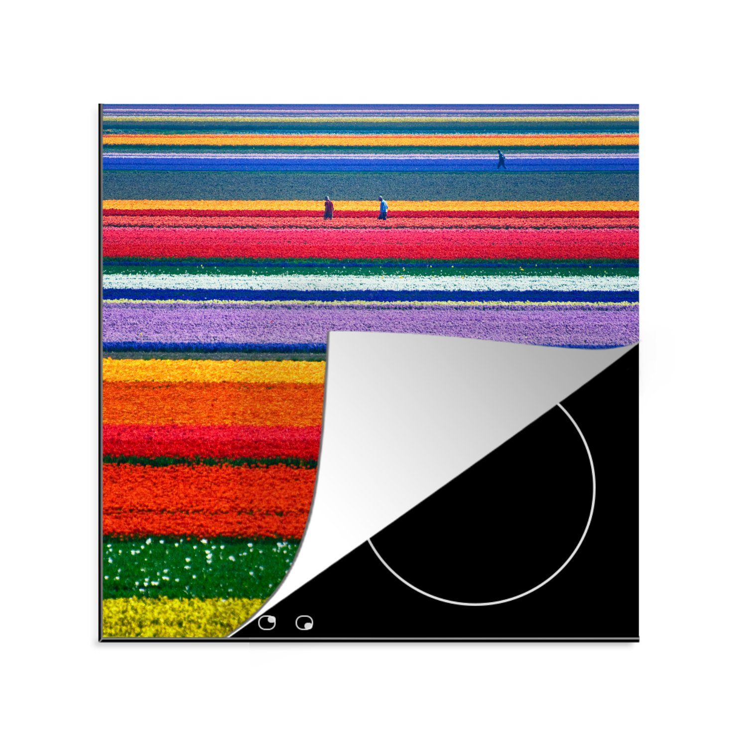 MuchoWow Herdblende-/Abdeckplatte Bunte Tulpen auf dem Keukenhof in Südholland, Vinyl, (1 tlg), 78x78 cm, Ceranfeldabdeckung, Arbeitsplatte für küche