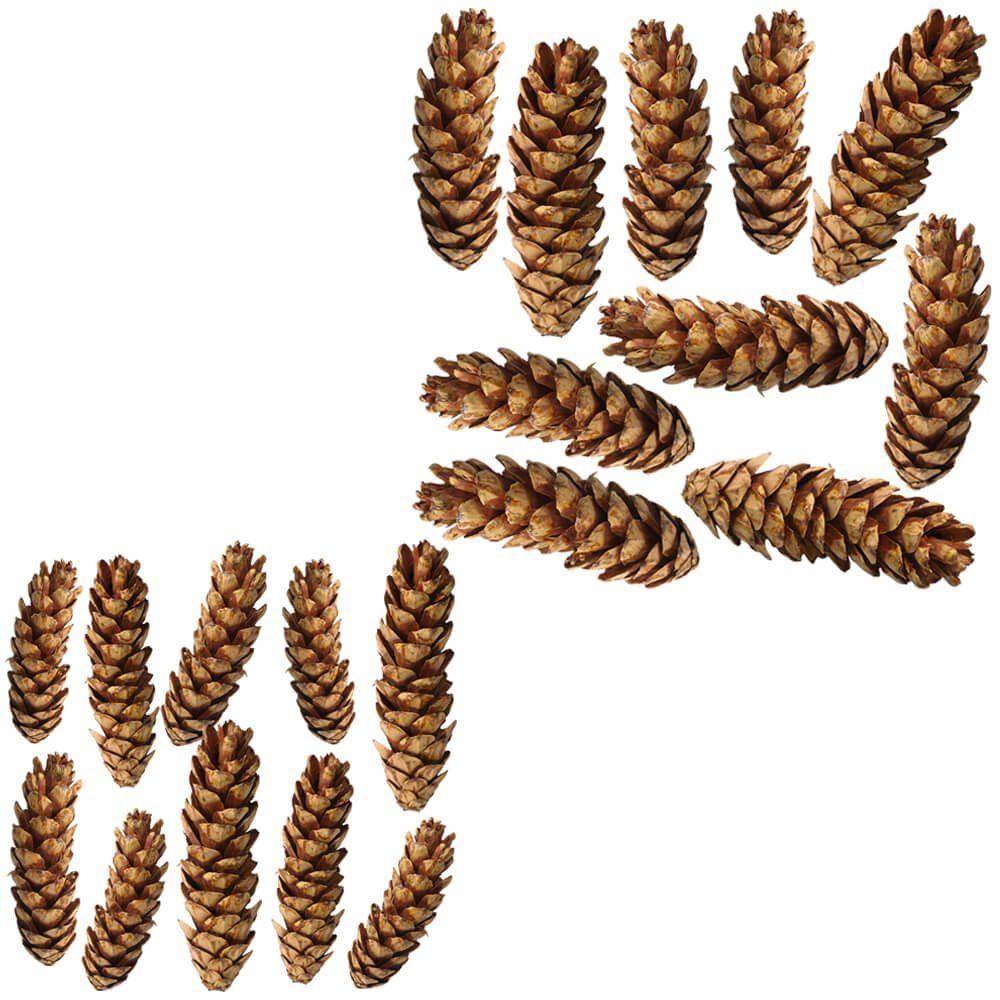 matches21 HOME & HOBBY Bastelnaturmaterial Große Tannen-Zapfen Streudeko braun 10er Set in 15 - 25 cm, (10-tlg), Weihnachten Deko-Zapfen zum Basteln und Weihnachtsbaum-Schmuck