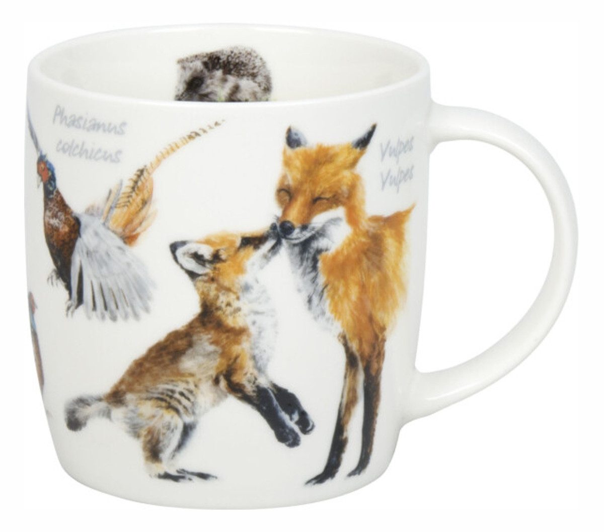 Könitz Tasse Natures Diversity Kleine Tiere des Waldes 0,35 L Porzellan, 1-tlg.
