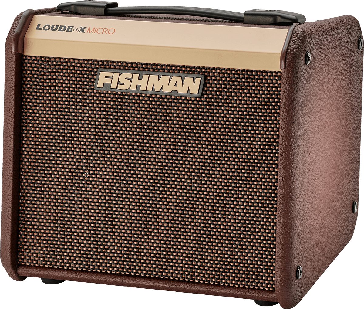 Fishman E-Gitarre Fishman Loudbox Micro