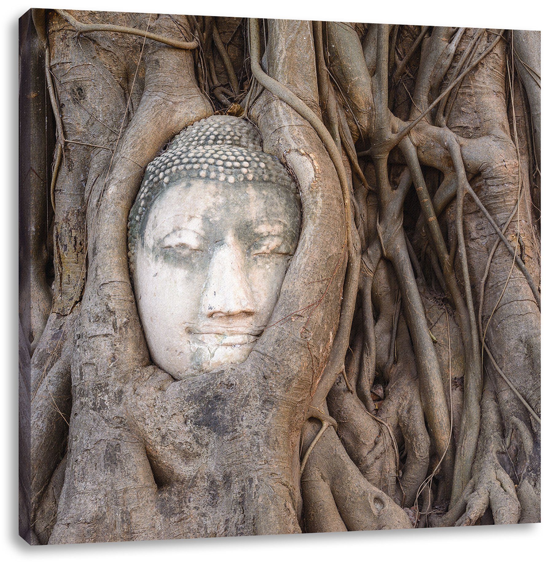 Buddha Leinwandbild inkl. Kopf Baum Leinwandbild Zackenaufhänger fertig Kopf im (1 St), Buddha bespannt, im Baum, Pixxprint