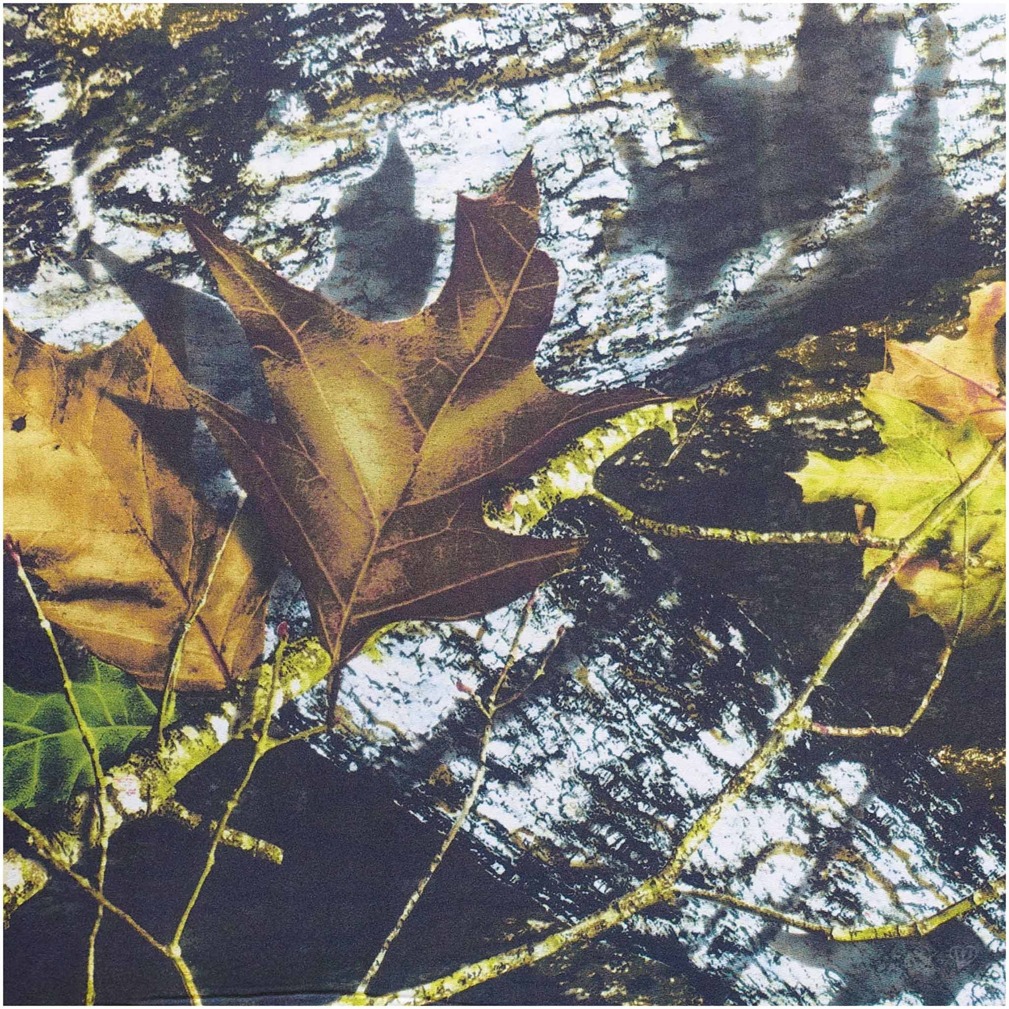 maDDma Stoff 0,5m Neopren Stoff Motivdruck Doubleface 3mm Stretch 135cm, Blätter